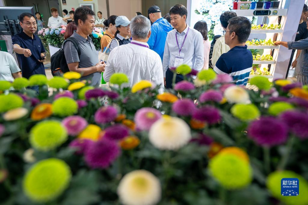 星辰广西棋牌
